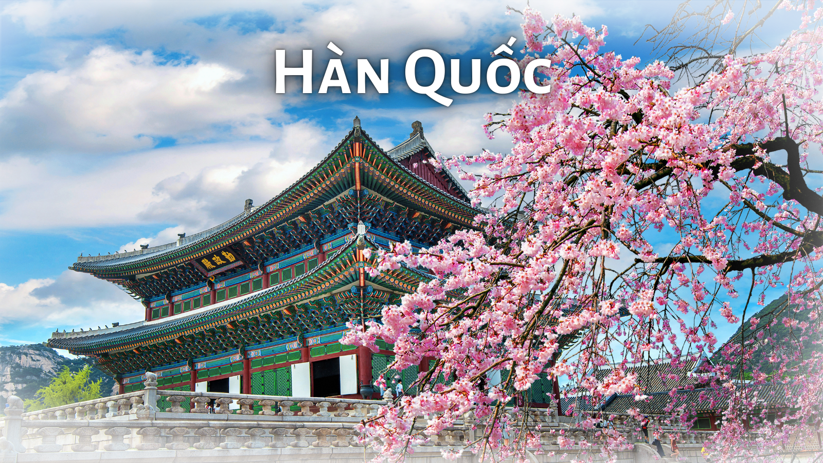 Korean-Cuisine