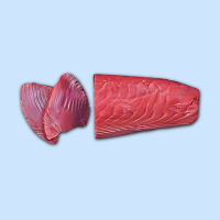 Takori Thunfischloins Original ca. 3kg - je kg