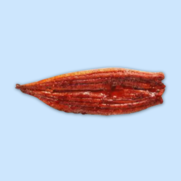 Unagi Aal Filet 10oz Preis je kg