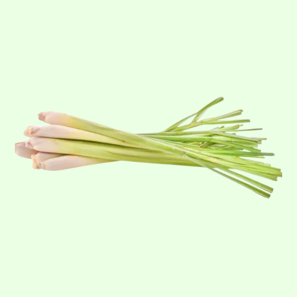 新鲜 柠檬草 250g