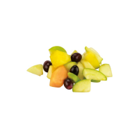 Frisch Fruchtsalat Ibiza 3,5kg