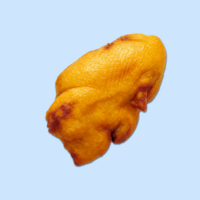 Gebratene Ente Original Halb 16er 10kg