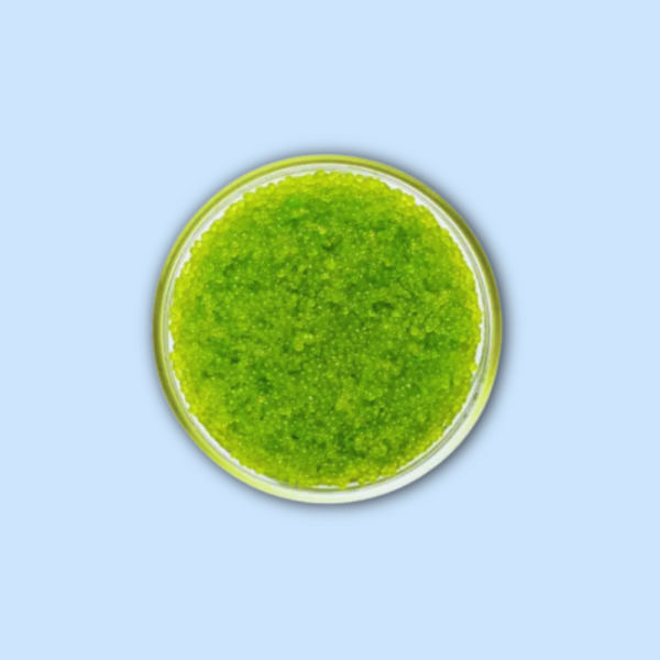 Tobiko 绿色 500g