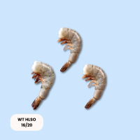 White Tiger Garnelen HLSO 16/20 1kg