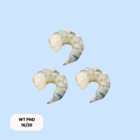 White Tiger Garnelen PND 16/20 1kg