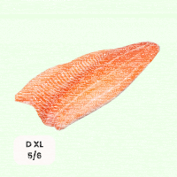 Frisch Lachsfilet Trim D XL 5/6  ca.11-14kg Kiste - je kg