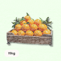 Saft & Pressorangen - je 15kg