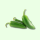 Ớt chuông Pimientos 2kg