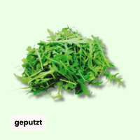 Rucola geputzt - Preis pro 250g