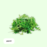 Rucola geputzt - Preis pro 250g