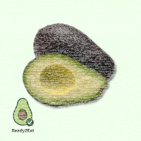 Avocado Ready2Eat 18er Kiste