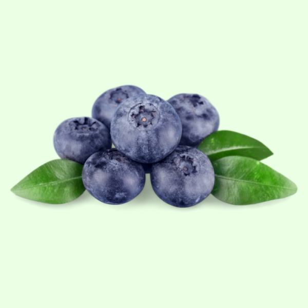 Blueberries 125g Tray