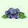 Blueberries 125g Tray