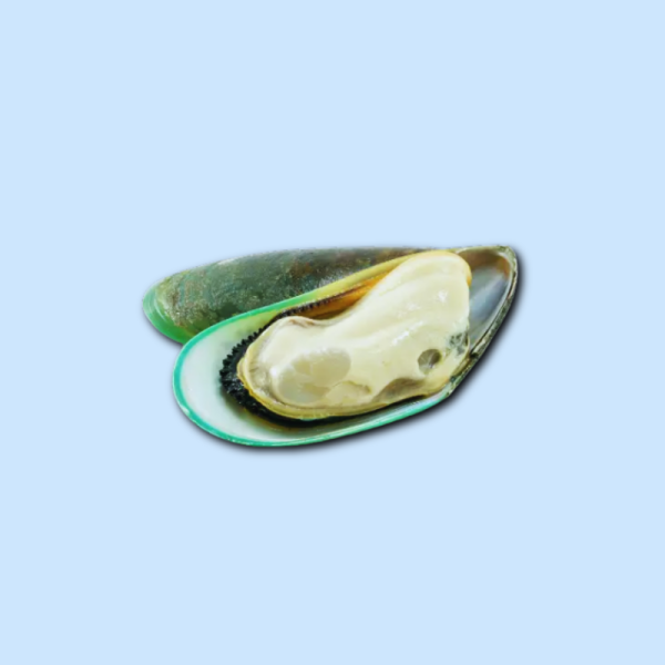 Grünschalenmuscheln halb M 1kg