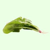 Wurzel Spinat - je kg