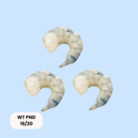 White Tiger Garnelen PND 16/20 10x1kg Karton