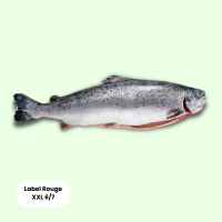 Label Rouge Lachs Ganz XXL 6/7 ca. 20-25kg Kiste - je kg