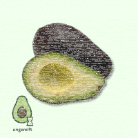 Avocado ungereift - je St&uuml;ck