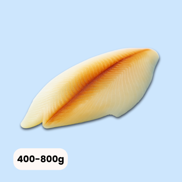 Schwarzer Heilbutt Filet 400-800g 5kg