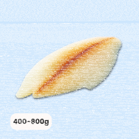 Schwarzer Heilbutt Filet 400-800g 5kg