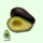 Avocado unripe 18 pcs per box