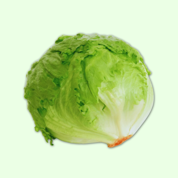 Eisbergsalat Stück