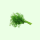 Dill bunch