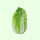 Chinese Cabbage piece
