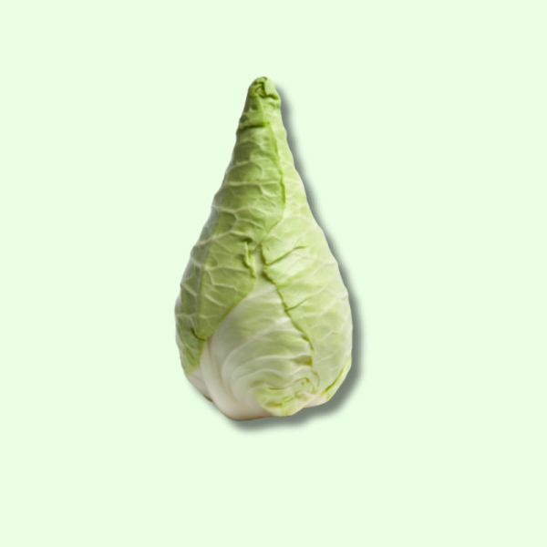 Pointed Cabbage piece