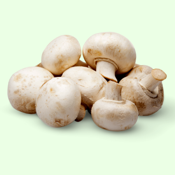 蘑菇 - 3kg 价格