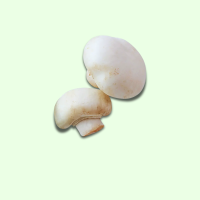 Champignons - Preis pro 3kg